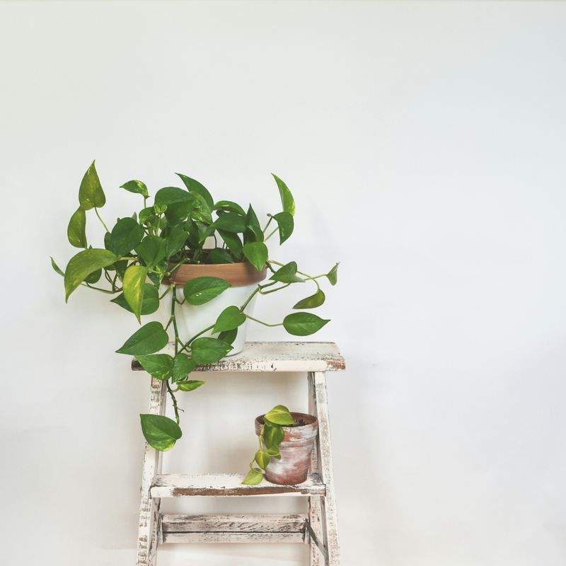 楽趣工房 - Image 5